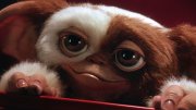 gizmo-puppet-screen-match-02-3f947a7a gizmo-puppet-screen-match-02-3f947a7a